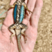 Blue belly lizard laying in Ave’s hand in the sunlight.
